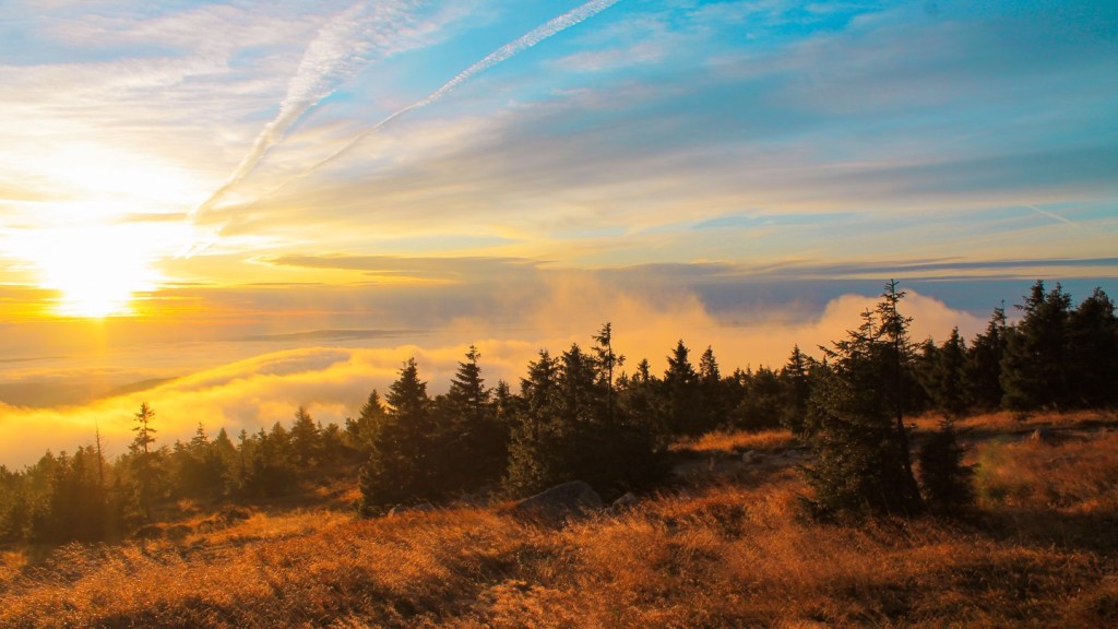 Walking with Heine: A Harz&nbsp;Diary