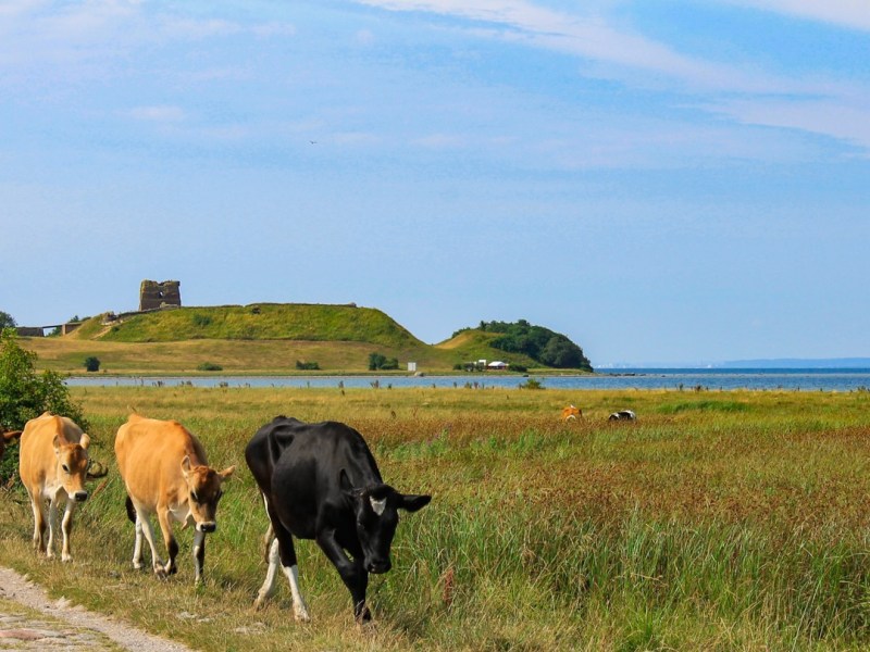 Where in go in Denmark: Mols&nbsp;Bjerge