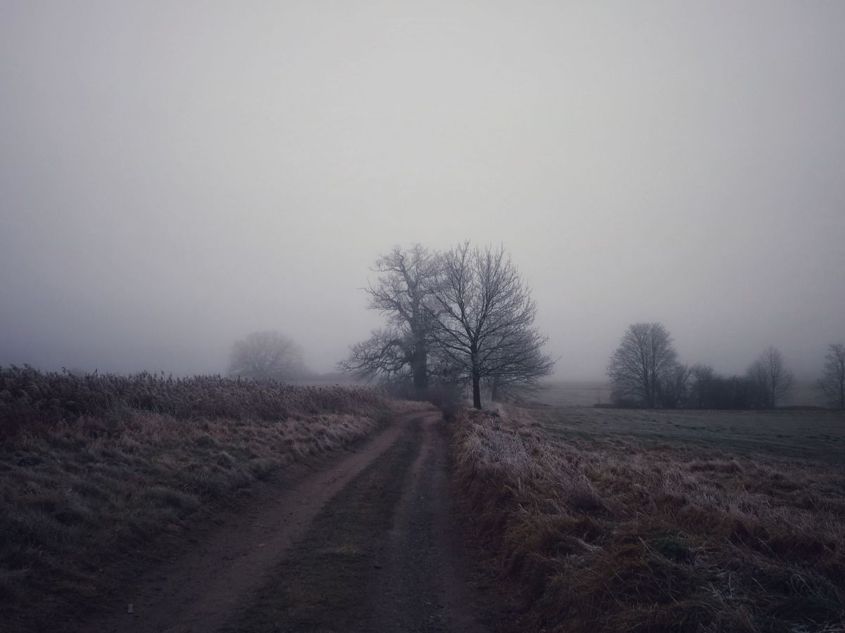 Postcard 02: Between the&nbsp;years…