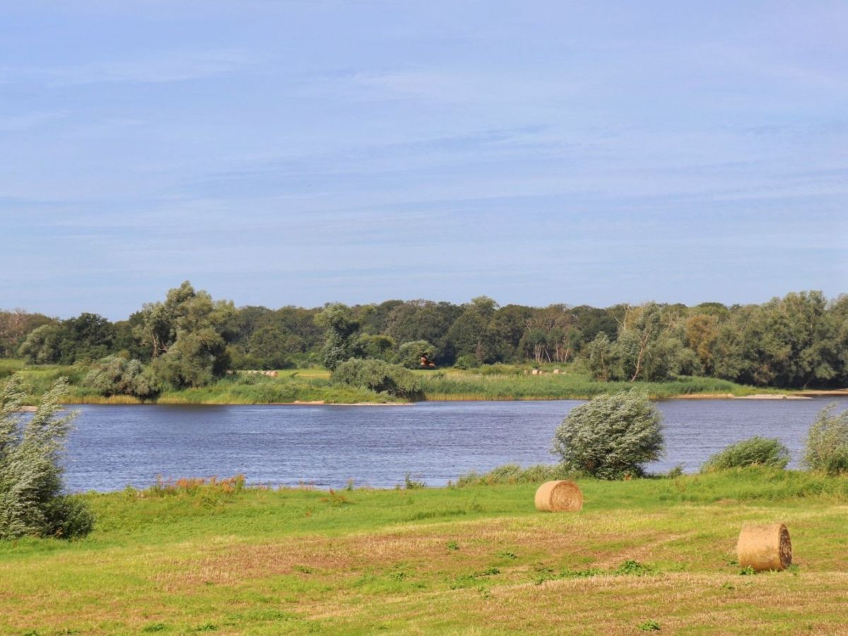 Postcard 09: The river&nbsp;speaks
