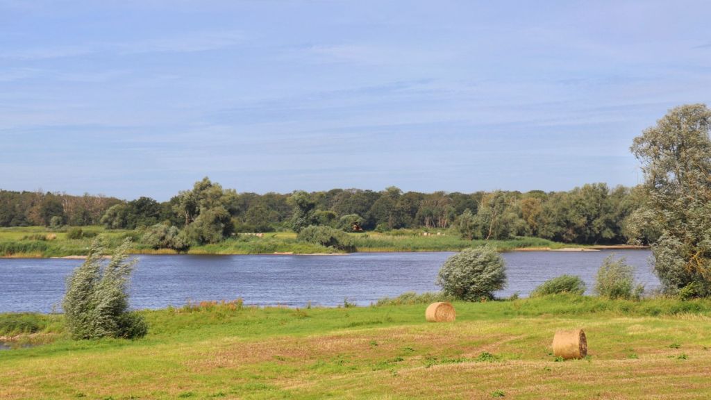 Postcard 09: The river&nbsp;speaks